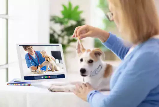 Telehealth woman with dog at computer