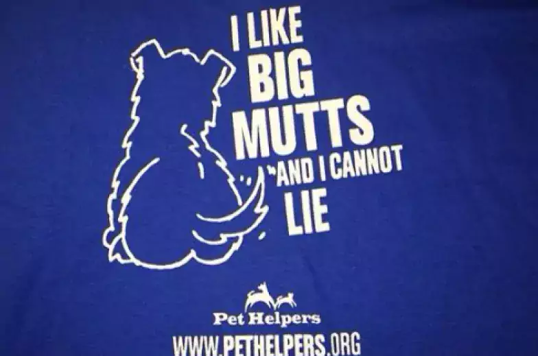 pet helpers promo image I like big mutts