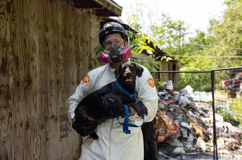 ASPCA Team member in hazmat suit holding small black dog