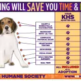 chart outlining cost savings of dog adoption