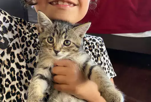 girl with kitten