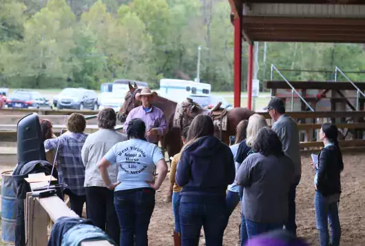 mike hurst training people and equines