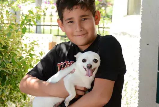 little boy holding small white dog outdoors