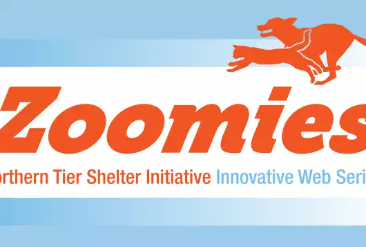 zoomies logo orange and blue with animals