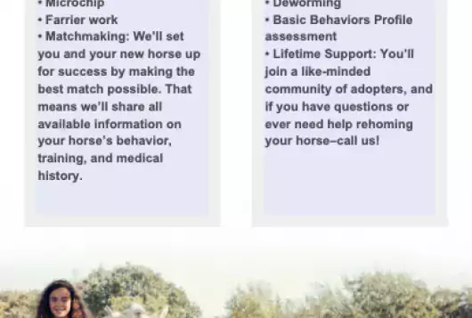 graphical benefits list for horse adoption