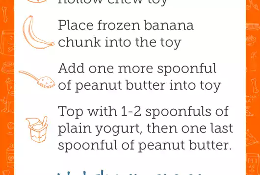 complete recipe for nutty monkey treats