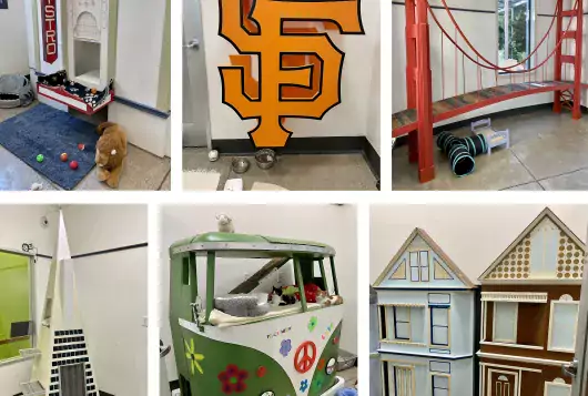 a collage of San Francisco images used in a shelter setting