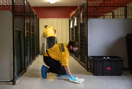 two shelter staff clean the kennel floor and walls
