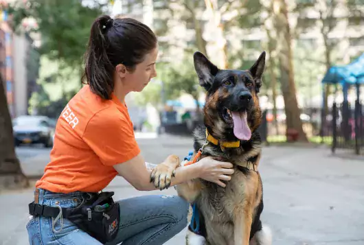 a volunteer kneels on the sidewalk next to a shepherd type dog as it lays its paw on her forearm