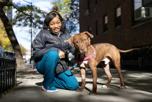staff of aspca outdoors on city sidewalk smiling crouched beside brown dog