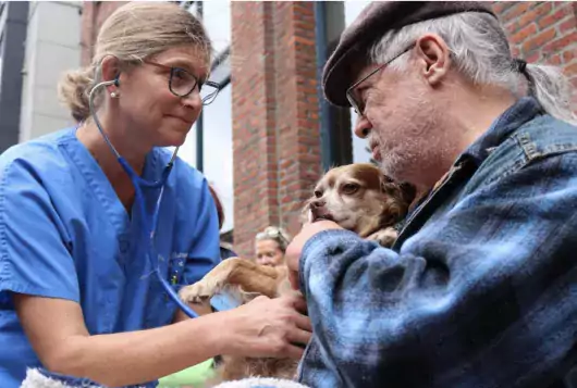 veterinarian helps care for small dog being held by man