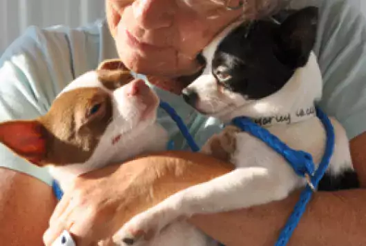 woman cuddles with two happy dogs