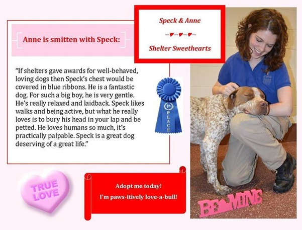 Plan Ahead: 10 Ways to Celebrate Valentine’s Day | ASPCApro