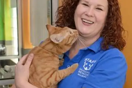 lisa holding a happy orange cat