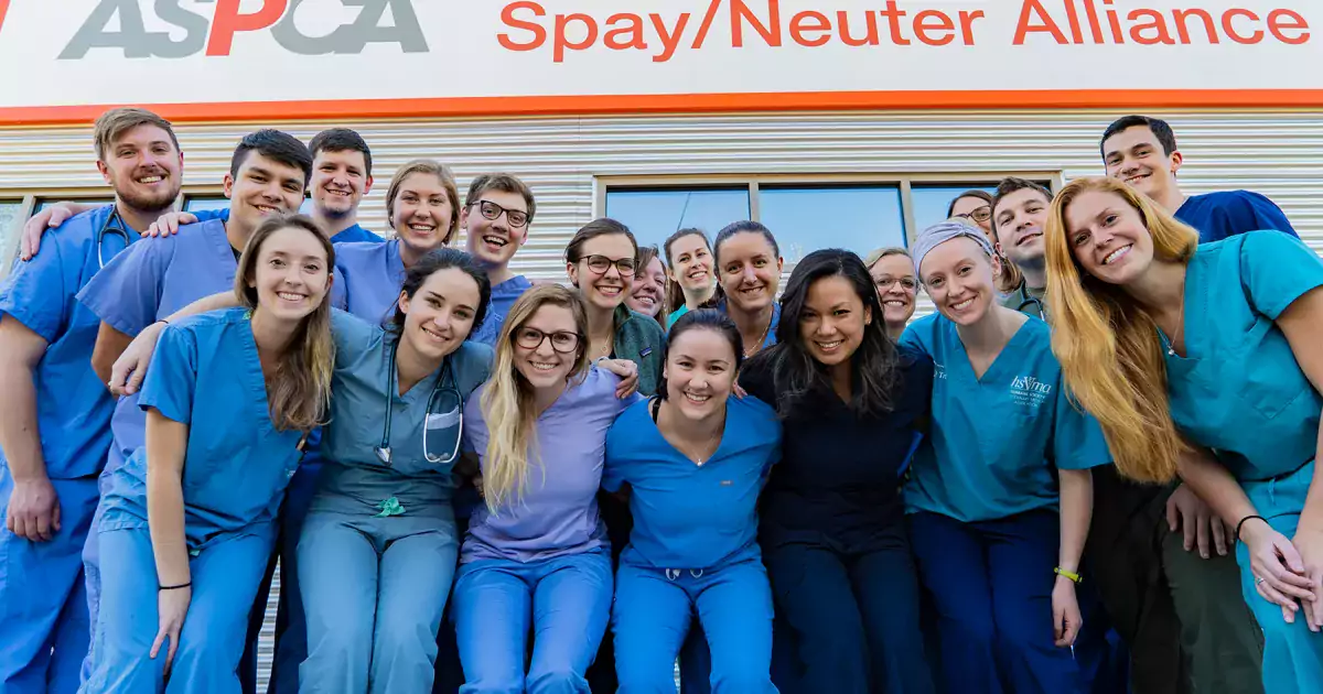 Neuter-Clinic, Veterinary-student-ems