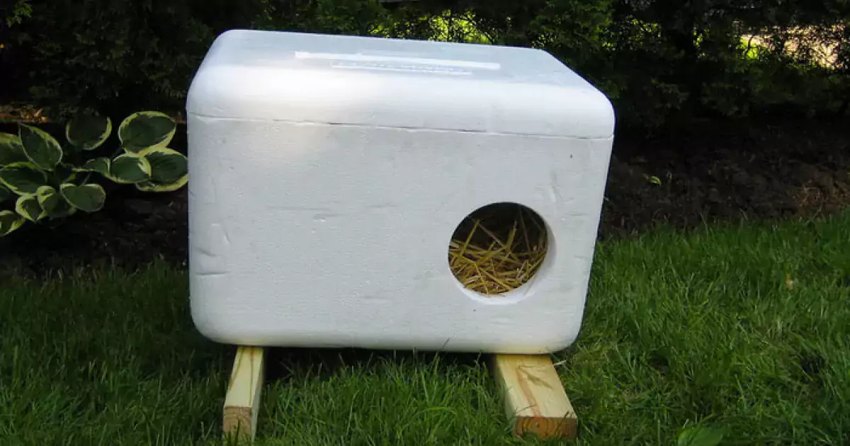 Cat Adoption Guide: Wheat Straw is Best for Outdoor Cat Houses